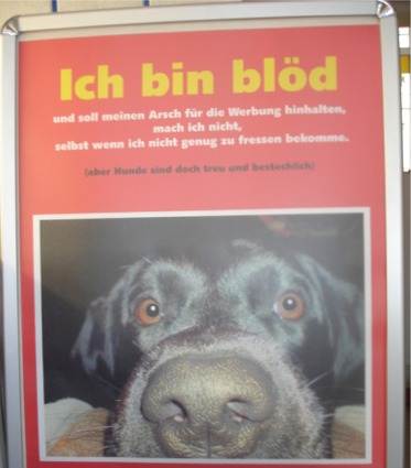Bild