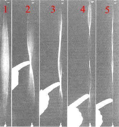 saiten.jpg (39701 Byte)